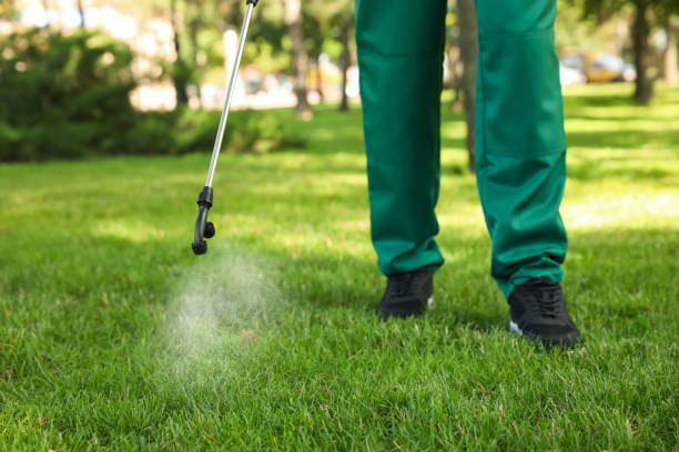 Wasp Removal Services in New Windsor, MD