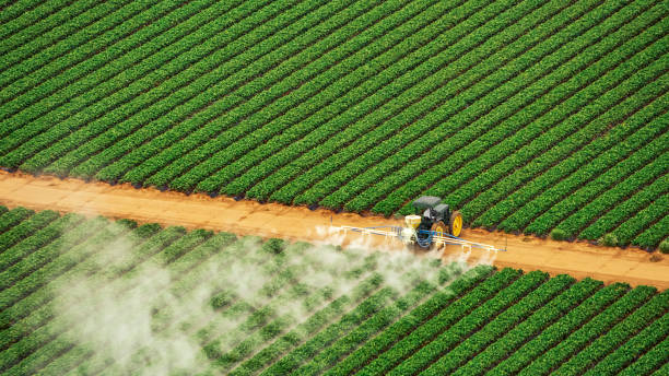 Best Pest Removal Services  in New Windsor, MD